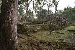 fg000832.jpg