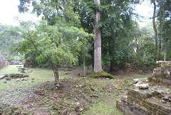 fg000833.jpg
