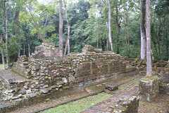 fg000835.jpg