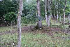 fg000837.jpg