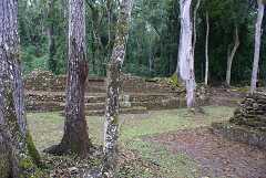 fg000843.jpg