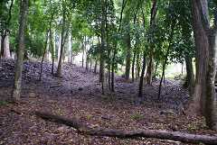 fg000848.jpg