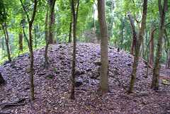fg000851.jpg