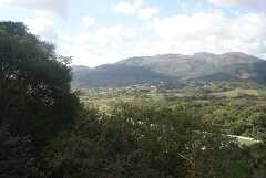 fg000861.jpg