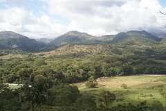 fg000862.jpg