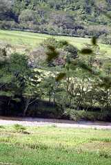 fg000866.jpg