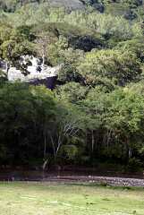 fg000869.jpg
