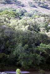 fg000871.jpg